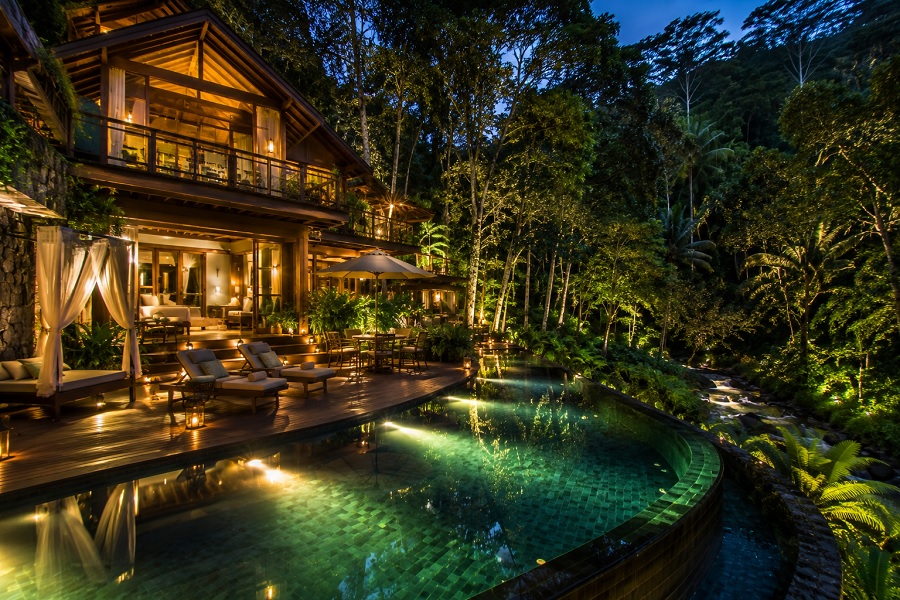 Rainforest Luxury Resort Reviews   